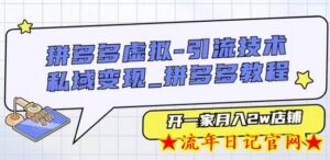 拼多多虚拟-引流技术与私域变现_拼多多教程:开一家月入2w店铺-流年日记