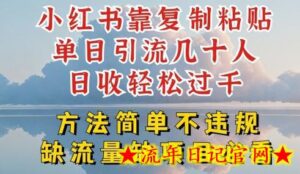 小红书靠复制粘贴单日引流几十人目收轻松过千,方法简单不违规-流年日记