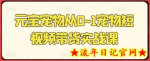 元宝宠物从0~1宠物短视频带货实战课-流年日记