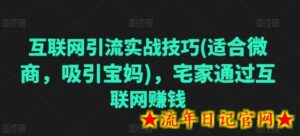 互联网引流实战技巧(适合微商,吸引宝妈),宅家通过互联网赚钱-流年日记