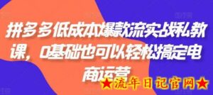 拼多多低成本爆款流实战私教课,0基础也可以轻松搞定电商运营-流年日记