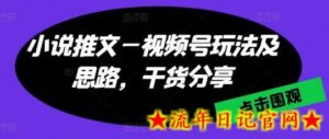 小说推文—视频号玩法及思路,干货分享-流年日记