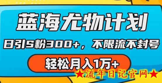 蓝海尤物计划，AI重绘美女视频，日引s粉300+，不限流不封号，轻松月入1w+-流年日记