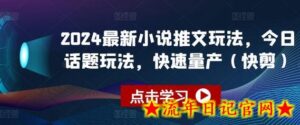 2024最新小说推文玩法,今日话题玩法,快速量产(快剪)-流年日记