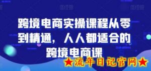 跨境电商实操课程从零到精通,人人都适合的跨境电商课-流年日记