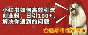 小红书如何高效引流创业粉,日引100+,解决你遇到的问题-流年日记
