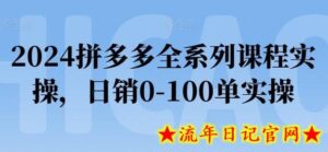 2024拼多多全系列课程实操，日销0-100单实操【必看】-流年日记