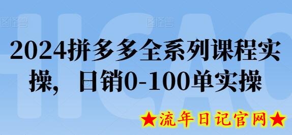 2024拼多多全系列课程实操，日销0-100单实操【必看】-流年日记