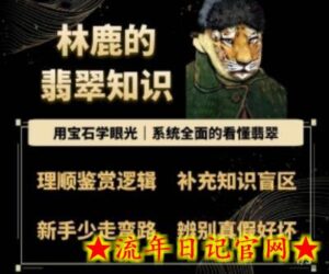 林鹿的翡翠知识，​用宝石眼光，系统全面的看懂翡翠-流年日记