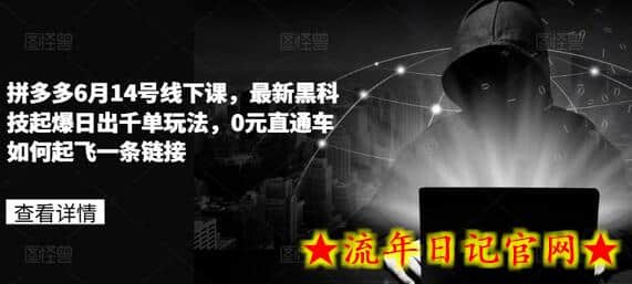 拼多多6月14号线下课，最新黑科技起爆日出千单玩法，0元直通车如何起飞一条链接-流年日记