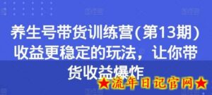 养生号带货训练营(第13期)收益更稳定的玩法，让你带货收益爆炸-流年日记
