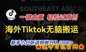 海外Tiktok短视频无脑搬运,一键去重轻松过原创,新手小白听话照做日入几张-流年日记