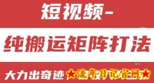 短视频分成计划,纯搬运矩阵打法,大力出奇迹,小白无脑上手,日收入两三张-流年日记