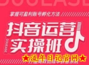 抖音运营实操班,掌握可盈利账号孵化方法,打造高效低成本获客系统-流年日记