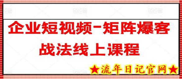 企业短视频-矩阵爆客战法线上课程-流年日记