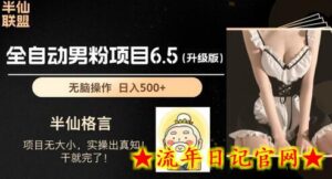 男粉项目6.5升级版,全自动男粉项目,日收入1K+-流年日记
