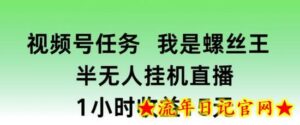 视频号任务,我是螺丝王, 半无人挂机1小时收益15元-流年日记
