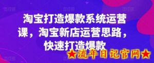 淘宝打造爆款系统运营课,淘宝新店运营思路,快速打造爆款-流年日记