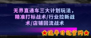 无界直通车三大计划玩法,精准打标战术/行业拉新战术/店铺回流战术-流年日记