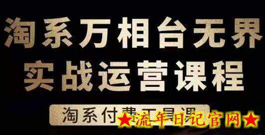 淘系万相台无界实战运营课，淘系付费工具课-流年日记