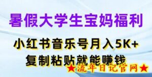 暑假大学生宝妈福利,小红书音乐号月入5000+,复制粘贴就能赚钱-流年日记
