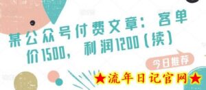 某公众号付费文章:客单价1500,利润1200(续),市场几乎可以说是空白的-流年日记