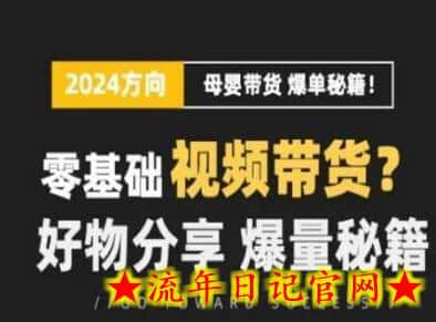 短视频母婴赛道实操流量训练营，零基础视频带货，好物分享，爆量秘籍-流年日记