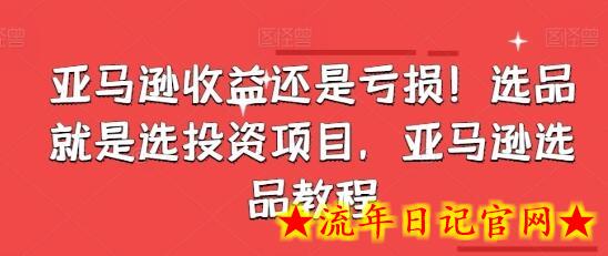 亚马逊收益还是亏损！选品就是选投资项目，亚马逊选品教程-流年日记