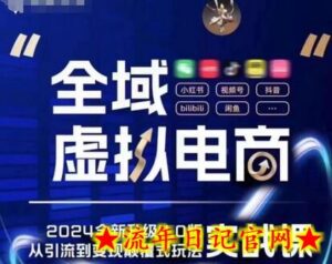 全域虚拟电商4.0 实战为主,理论为辅,5大「黄金赚钱虚拟赛道」,颠覆式的创新玩法交付-流年日记