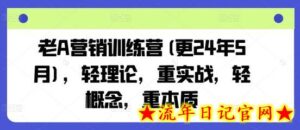 老A营销训练营(更24年6月),轻理论,重实战,轻概念,重本质-流年日记