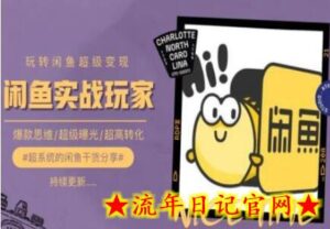 手把手教你0到1系统玩转闲鱼变现,爆款思维/超级曝光/超高转化-流年日记