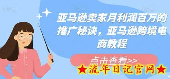 亚马逊卖家月利润百万的推广秘诀，亚马逊跨境电商教程-流年日记