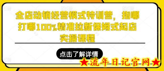 全店动销经营模式特训营，指哪打哪100%精准拉新保姆式起店实操课程-流年日记