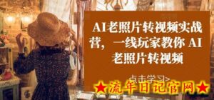 AI老照片转视频实战营,一线玩家教你AI老照片转视频-流年日记