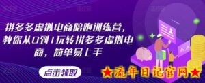 拼多多虚拟电商陪跑训练营,教你从0到1玩转拼多多虚拟电商,简单易上手-流年日记