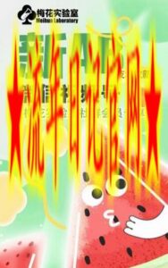 梅花实验室2024年AB技术视频号AB合成PJ版-流年日记