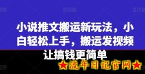 小说推文搬运新玩法,小白轻松上手,搬运发视频让搞钱更简单-流年日记