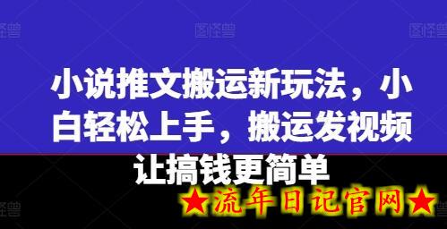 小说推文搬运新玩法，小白轻松上手，搬运发视频让搞钱更简单-流年日记