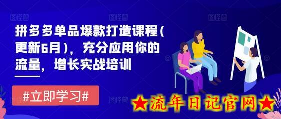 拼多多单品爆款打造课程(更新6月)，充分应用你的流量，增长实战培训-流年日记