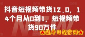 抖音短视频带货12.0，14个月从0到1，短视频带货90万件-流年日记