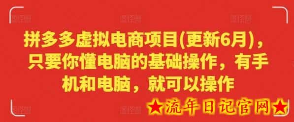 拼多多虚拟电商项目(更新6月)，只要你懂电脑的基础操作，有手机和电脑，就可以操作-流年日记