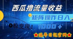 西瓜视频撸流量,简单上手,0粉变现矩阵操作,日入1000+-流年日记