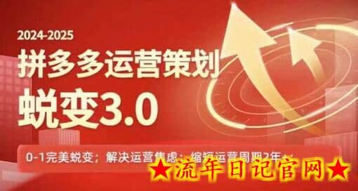 2024-2025拼多多运营策略蜕变3.0，0~1完美蜕变，解决信息焦虑-流年日记