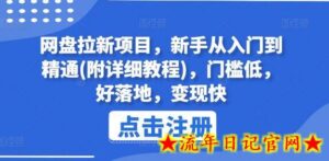 网盘拉新项目,新手从入门到精通(附详细教程),门槛低,好落地,变现快-流年日记