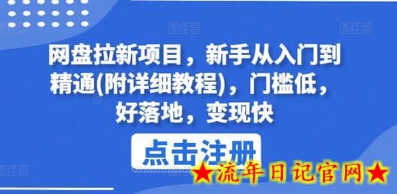 网盘拉新项目，新手从入门到精通(附详细教程)，门槛低，好落地，变现快-流年日记