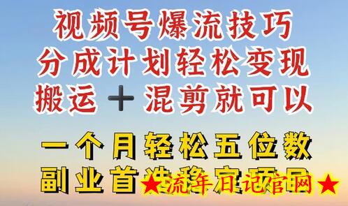 视频号爆流技巧，分成计划轻松变现，搬运 +混剪就可以，一个月轻松五位数稳定项目-流年日记