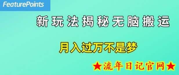 简单操作，每天50美元收入，搬运就是赚钱的秘诀-流年日记