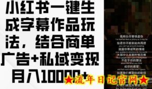 小红书一键生成字幕作品玩法,结合商单广告+私域变现月入1w+-流年日记