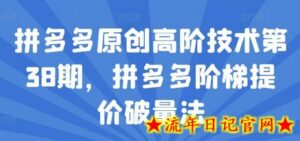 拼多多原创高阶技术第38期,拼多多阶梯提价破量法-流年日记