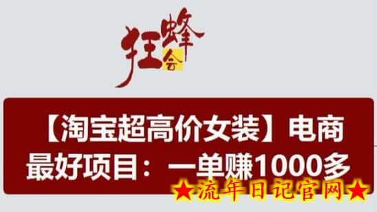 淘宝超高价女装项目，电商最好赛道，一单赚1000多-流年日记